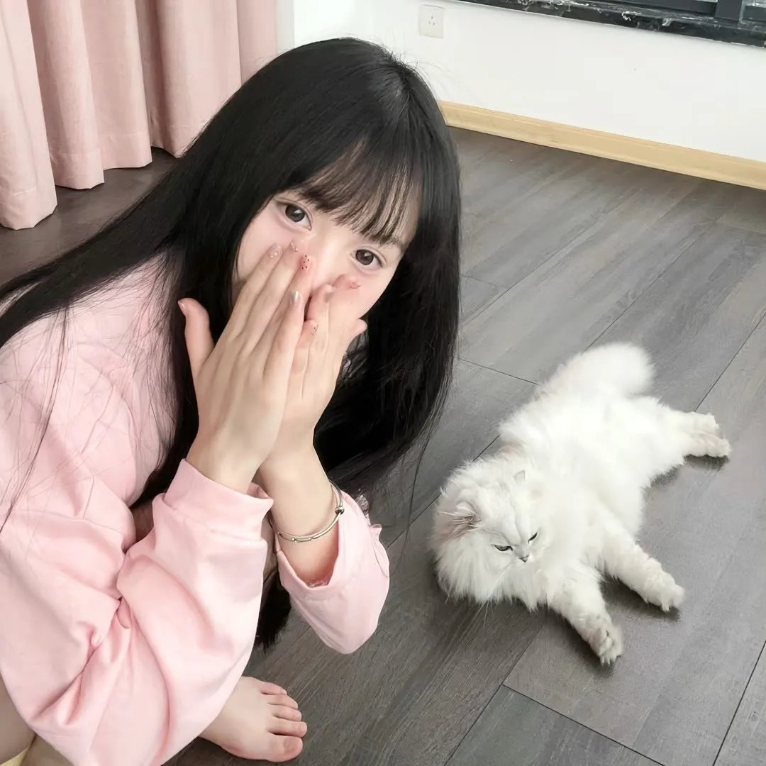 鸡同鸭讲